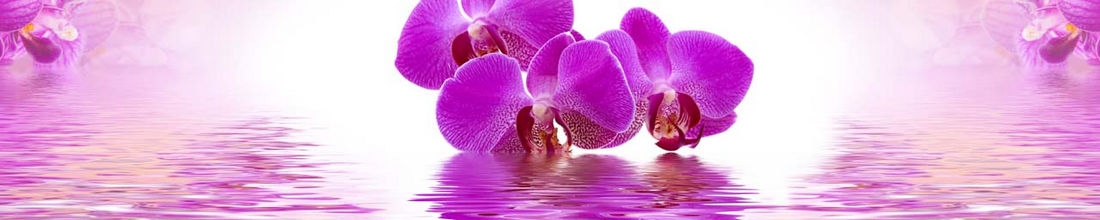 skinali 0651